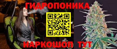 прущие крисы Волжский