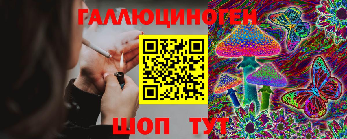 Галлюциногенные грибы мухоморы  Вход с VPN  Россия 