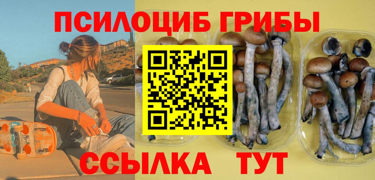 Галлюциногенные грибы GOLDEN TEACHER Россия